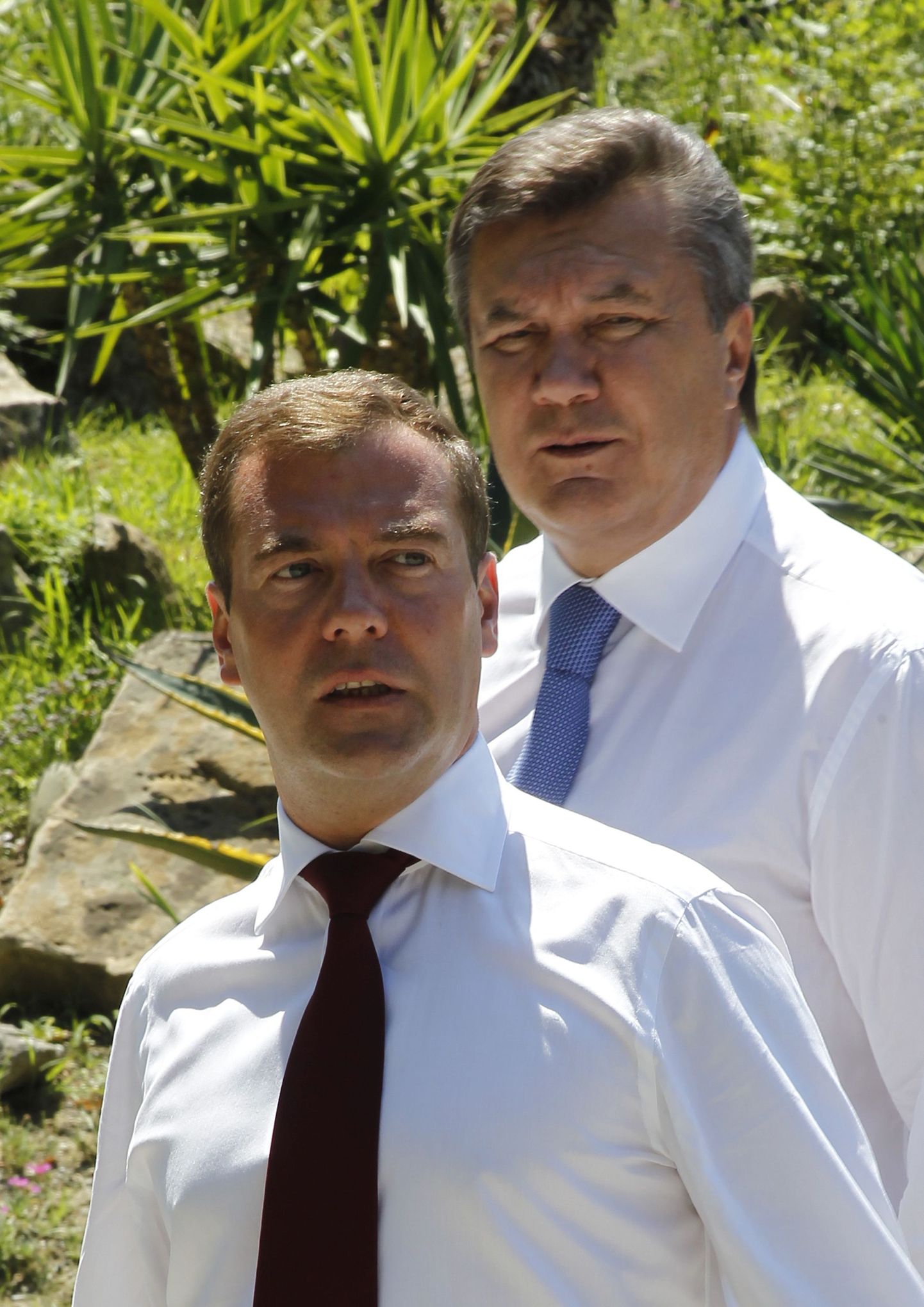 Vene president Dmitri Medvedev (ees) ja tema Ukraina ametivend Viktor Janukovitš eelmisel kuul Sotšis.