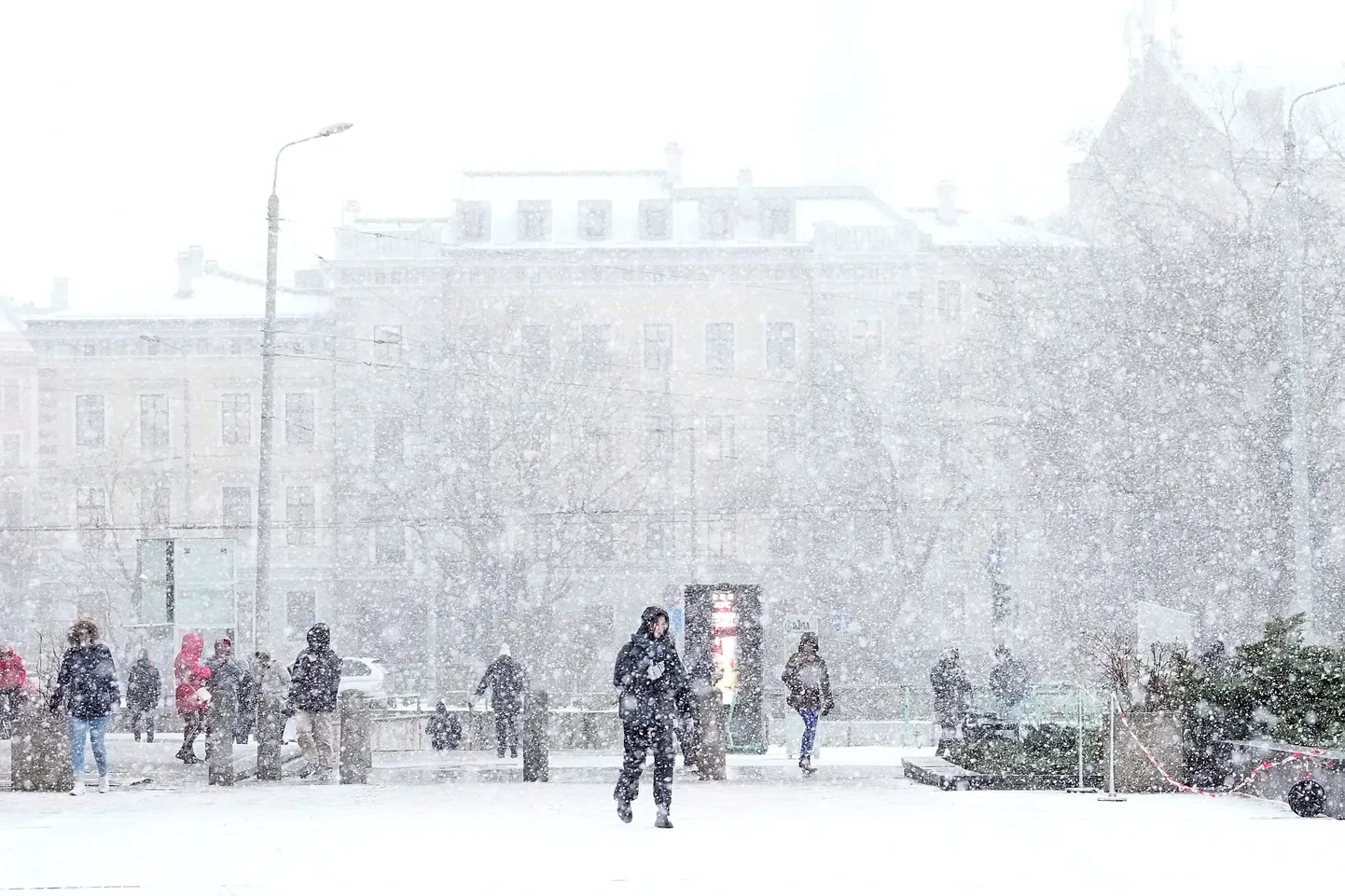 Метель в Риге
