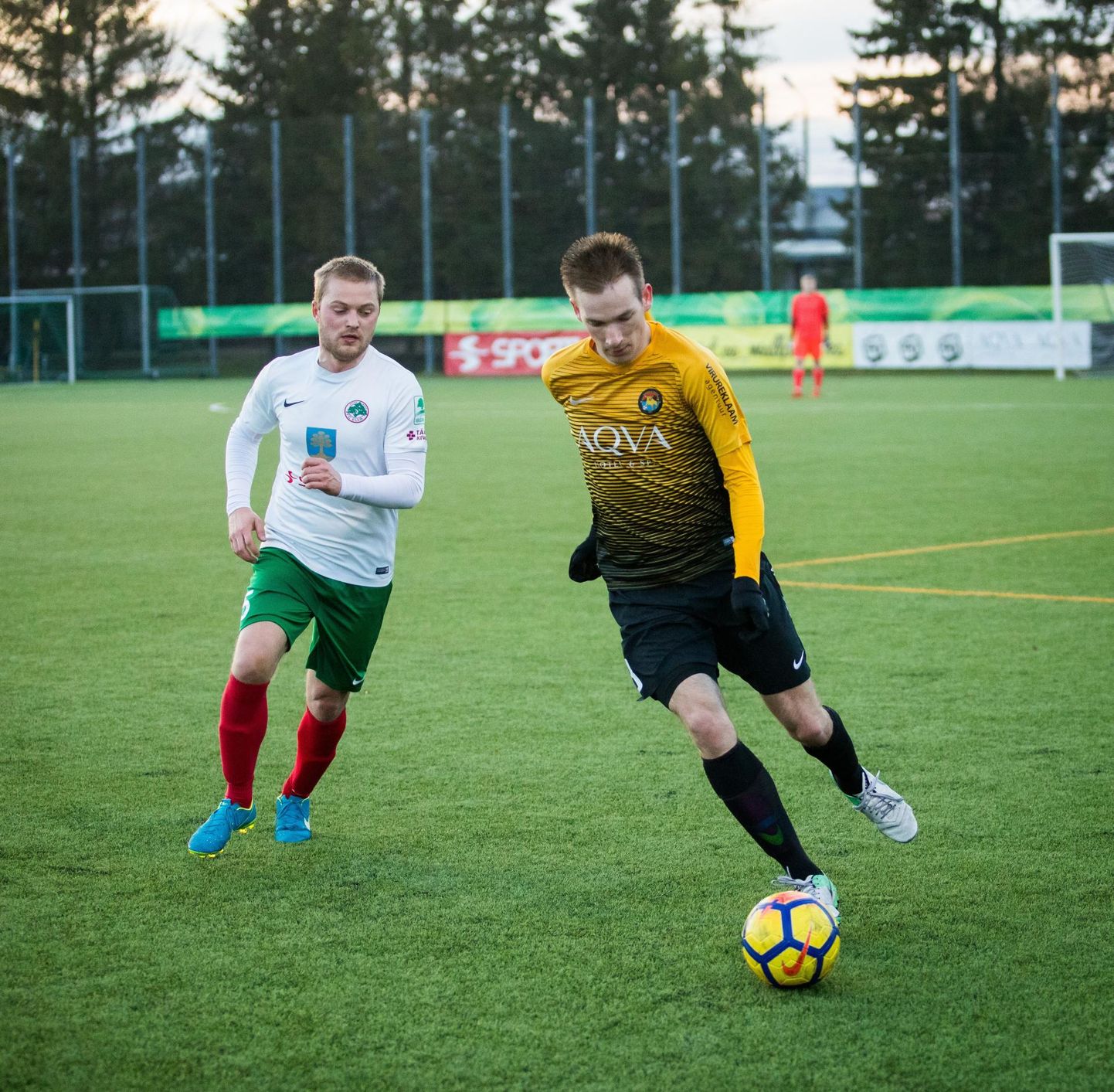 Neljast sellel hooajal peetud omavahelisest mängust pööras Rakvere JK Tarvas (kollases) enda kasuks ühe ja FC Elva kolm.