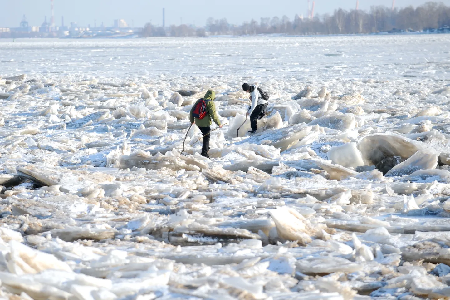Jaunieši staigā pa saplaisājušo Daugavas ledu pie Mangaļsalas.