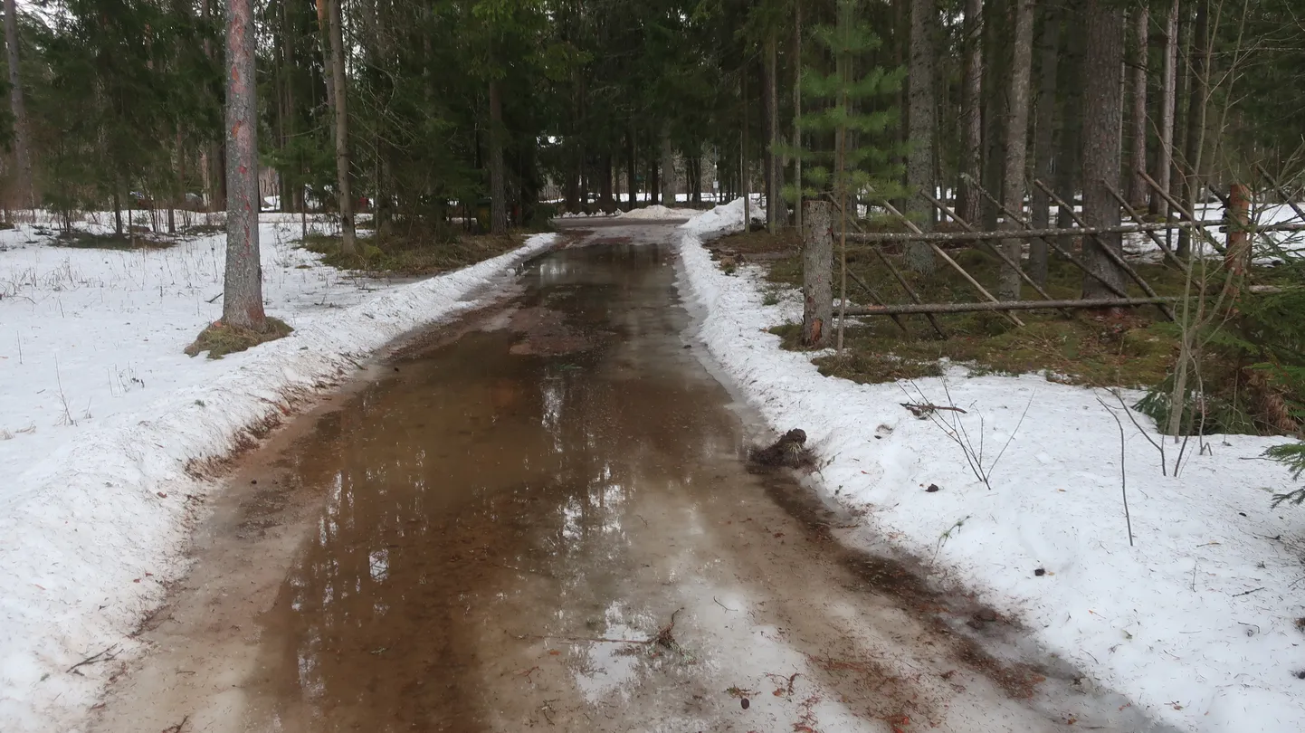 Lausa sula pole Lõuna-Eestis siiski veel oodata.