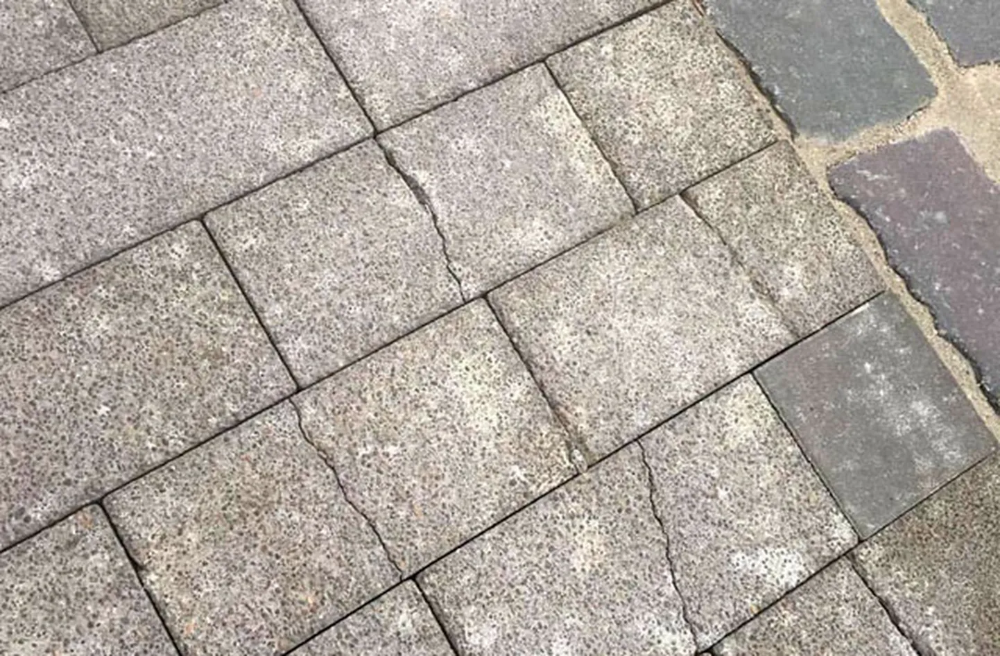 Raksta foto