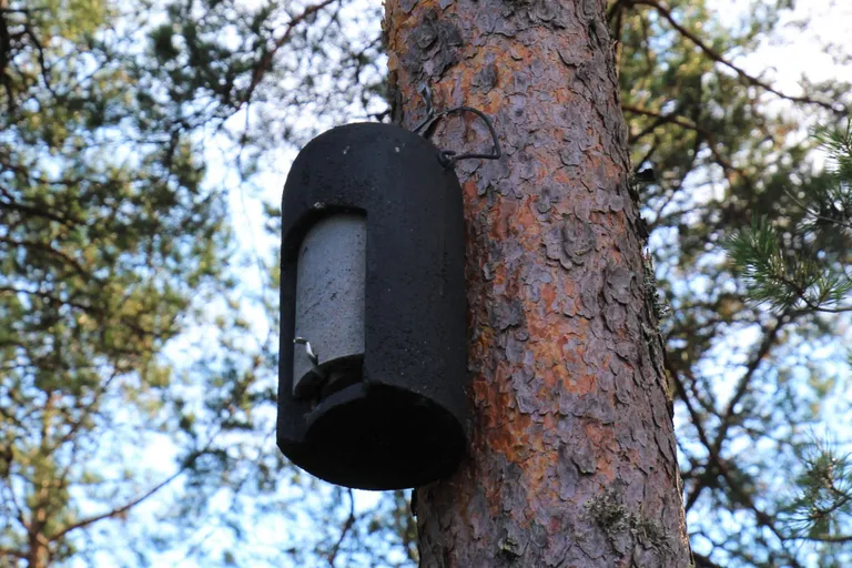 Pullijärve puhkeküla linnukast.