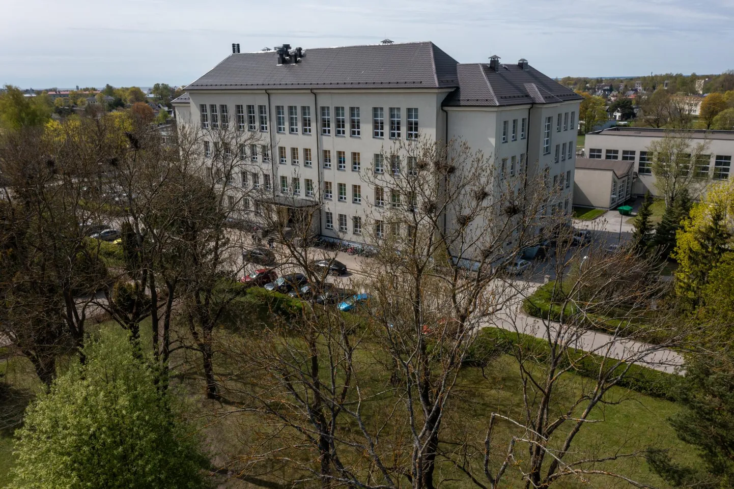Sel aastal on künnivaresed mööda Pärnu linna laiali jagunenud väiksemateks kolooniateks. Üks selline pesitseb Pärnu Ülejõe põhikooli ees.