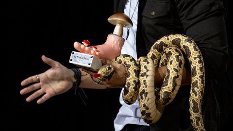 IG NOBELI PREEMIAD 2026 ⟩ Auhinnati teadustöid pritsmevabast pissuaarist, suudlemise definitsioonist ja lastelt kommi näppamisest