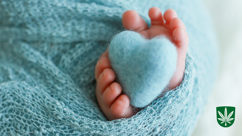 Väiksemates omavalitsustes enam lapse sündi registreerida ei saa