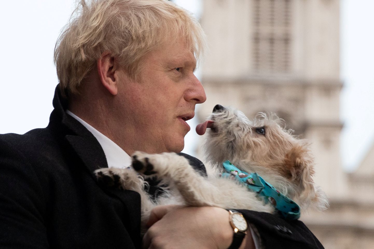 Briti peaminister Boris Johnson oma koera Dilyniga.