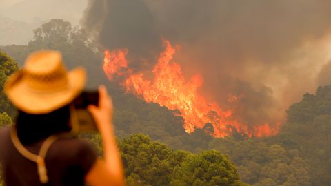 На юге Испании из-за лесного пожара эвакуировали около 500 человек