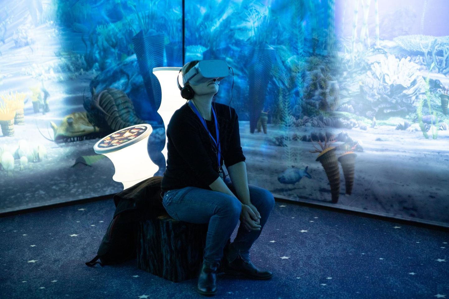 VR-prillidega kestab näituseseanss kestab 6 minutit, mille jooksul rändab vaataja ajas 600 miljonit aastat.