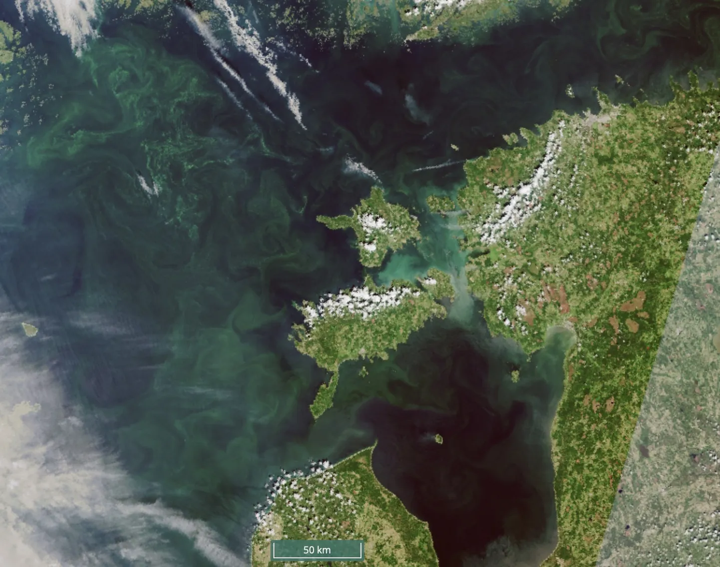 Sentinel-3 satelliidipilt 12.07.2023