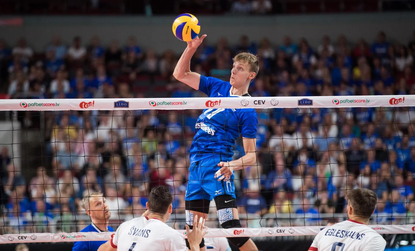 Timo Tammemaa