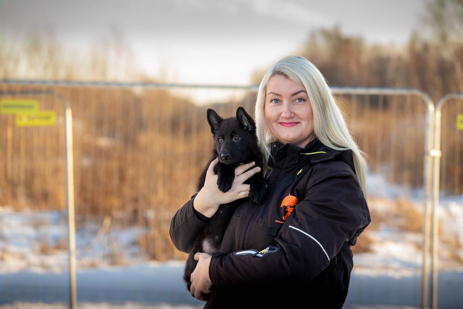 Pärnu loomade varjupaiga juhataja Seyle Juss ütles, et hulkuvaid koeri oli tänavu vähem kui eelmistel aastatel ja enamik neist jõudis tagasi vanasse koju.