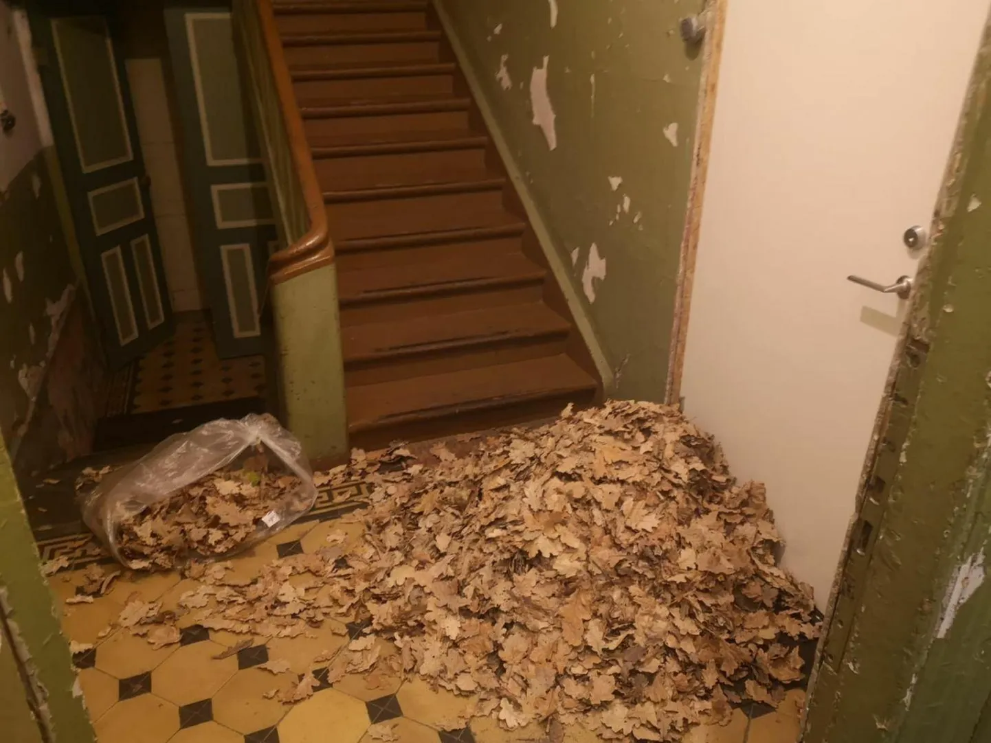 Kotitäis lehti visati pühapäeva õhtul ühe Maramaa puiestee maja eeskotta laiali, arvatavasti oli see poisikeste temp.