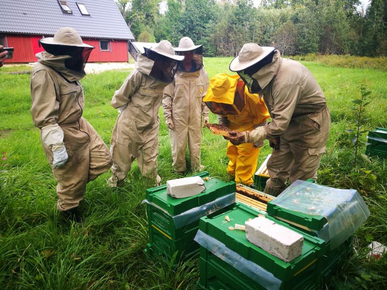 Kui mesiniku „skafander” seljas, võib tarude juures mesilaste elu uudistada.
