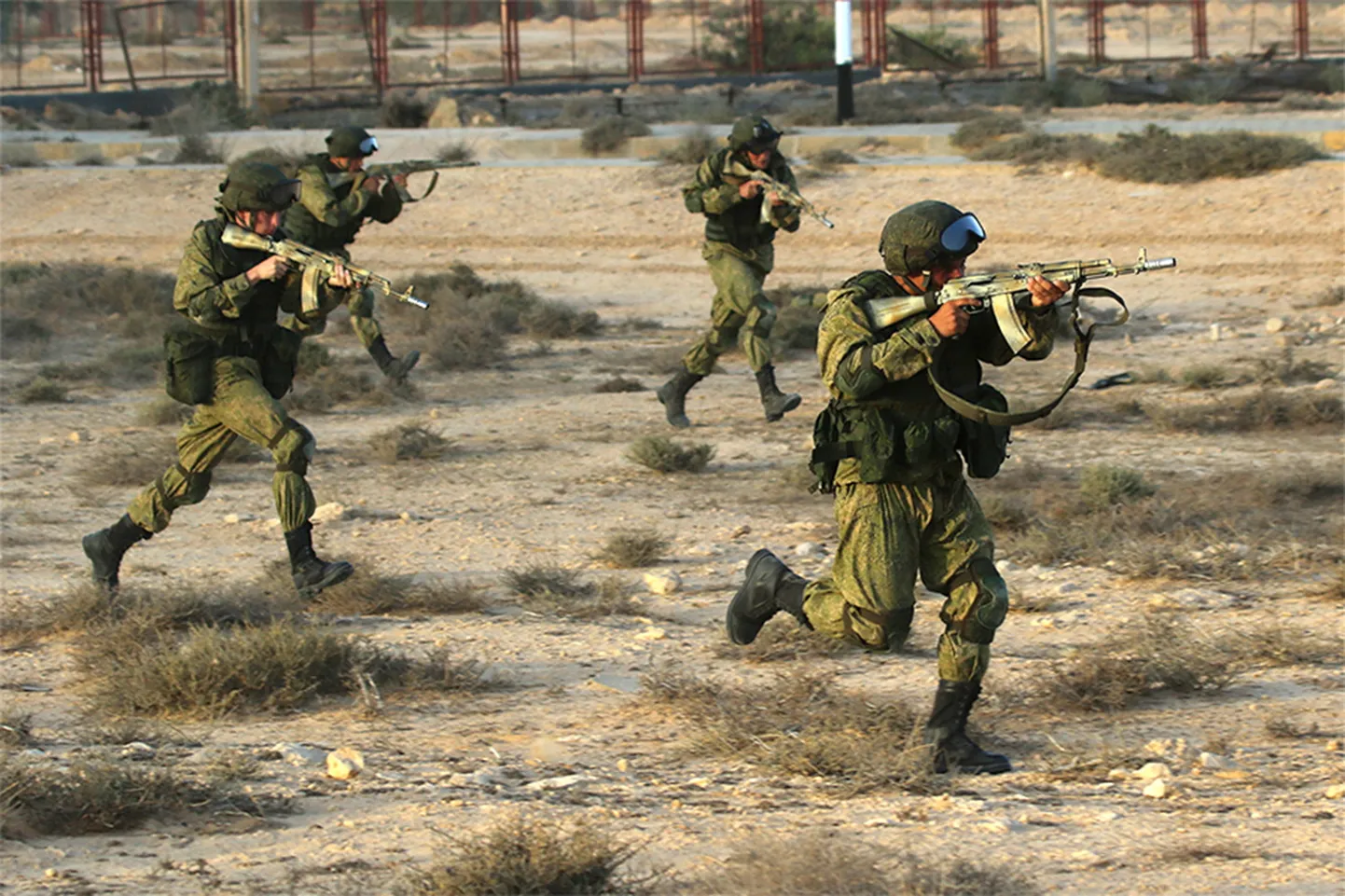 Egiptuse armee sõdurid tapsid Siinail 46 pühasõdalast.