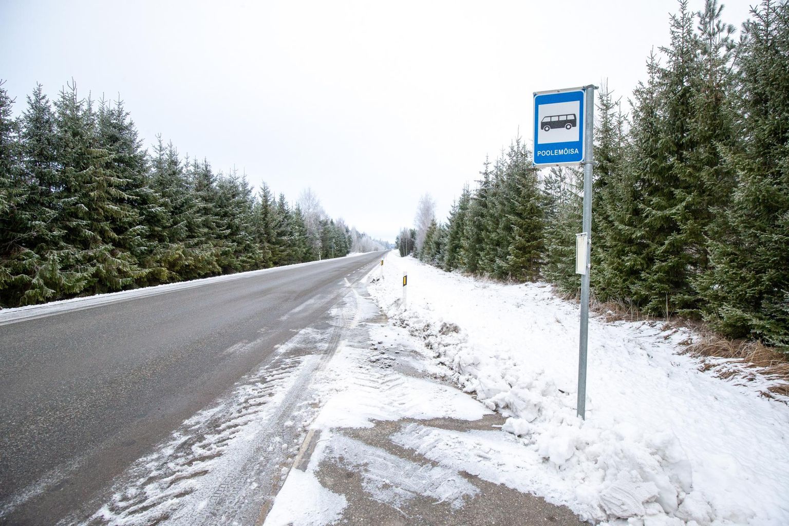 Poole külas, Poolemõisa ja Kübaramäe bussipeatustes väljujail tasub olla ettevaatlik, sest täpselt kahe peatuse vahel asuvas talus elav kuri koer ei pruugi inimesi peatusest kaugemale lubada.