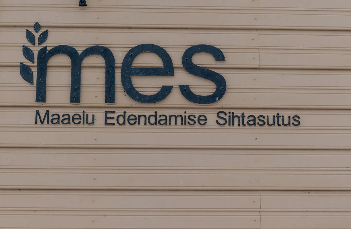 MESi toetused võtsid riigikontrolli kukalt kratsima.
