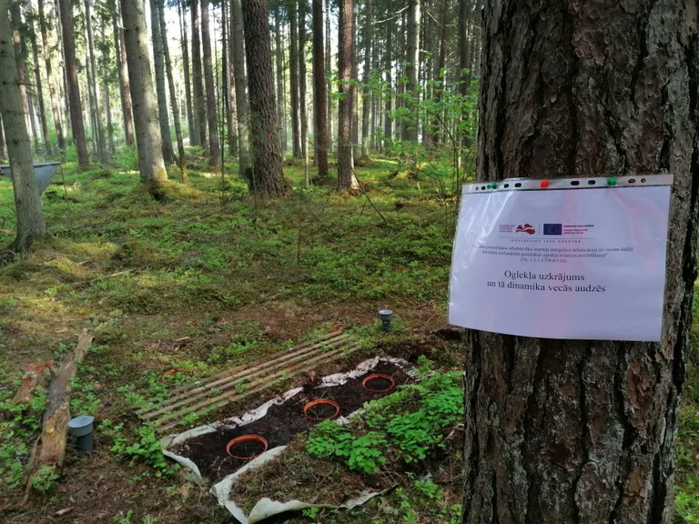 Raksta foto