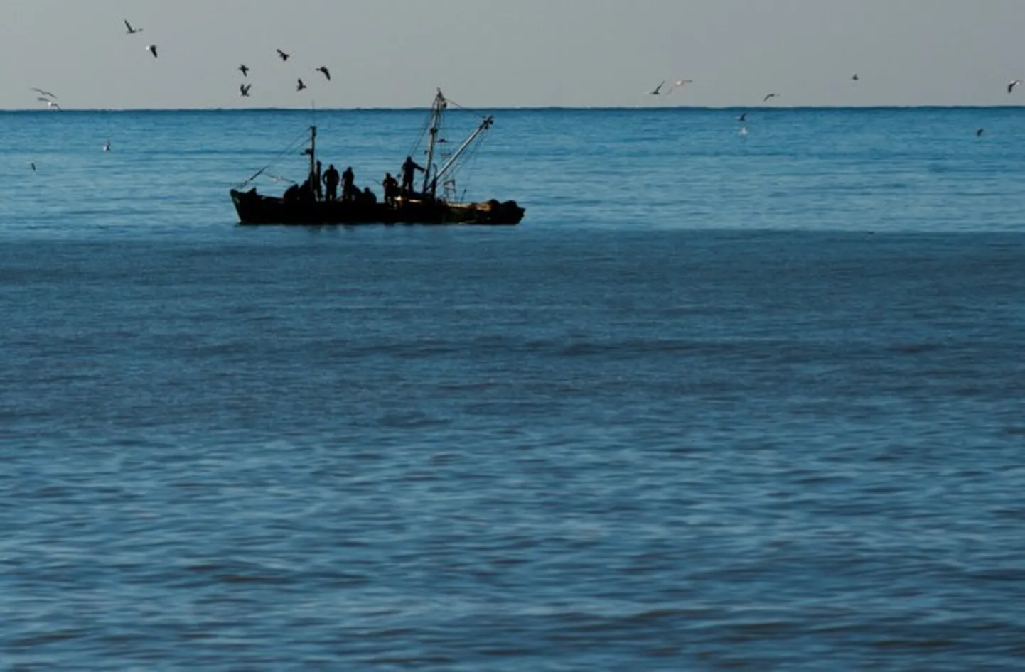 Raksta foto