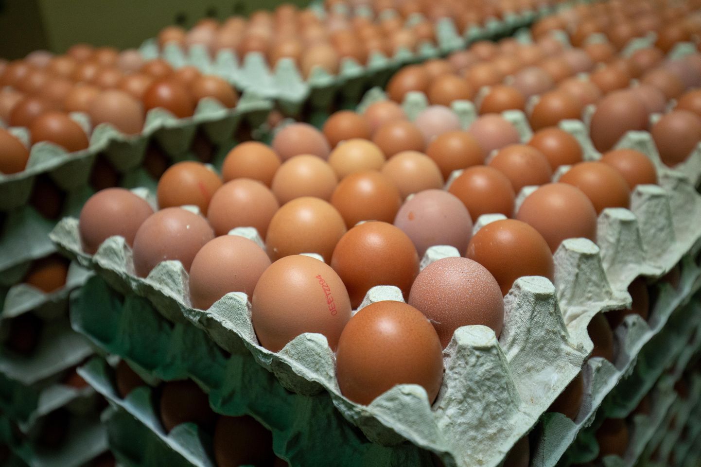 Iga müüdud munaaluse kohta annetab Briti tootja karbi muna toidupangale.