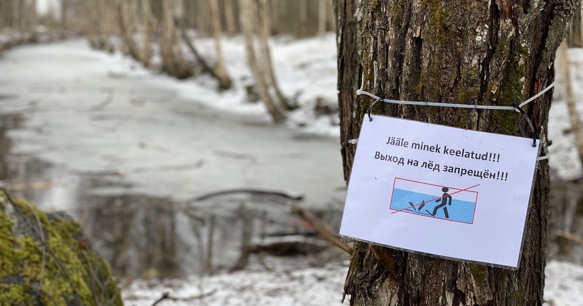 Аншлаг выход на лед запрещен фото