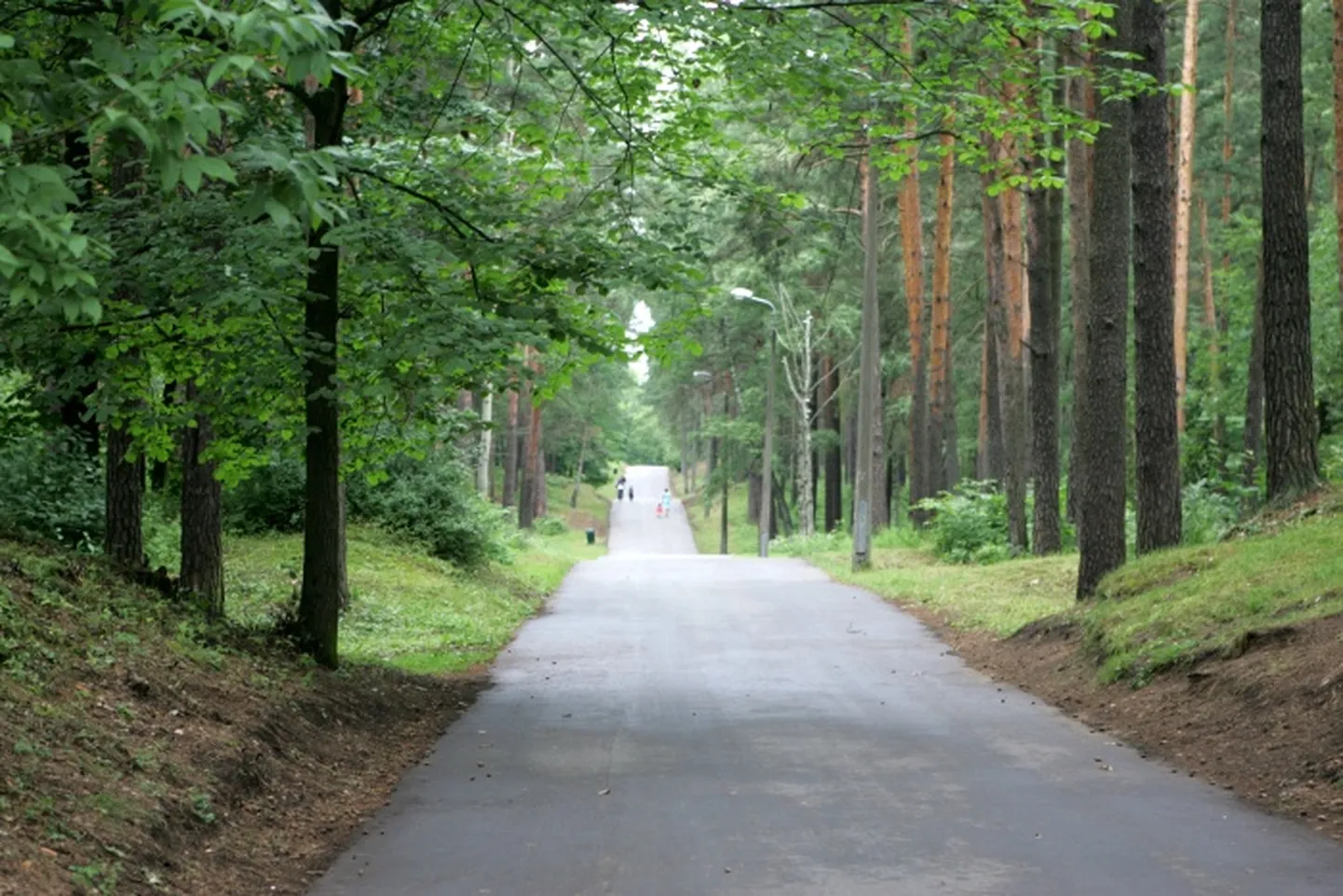 Raksta foto