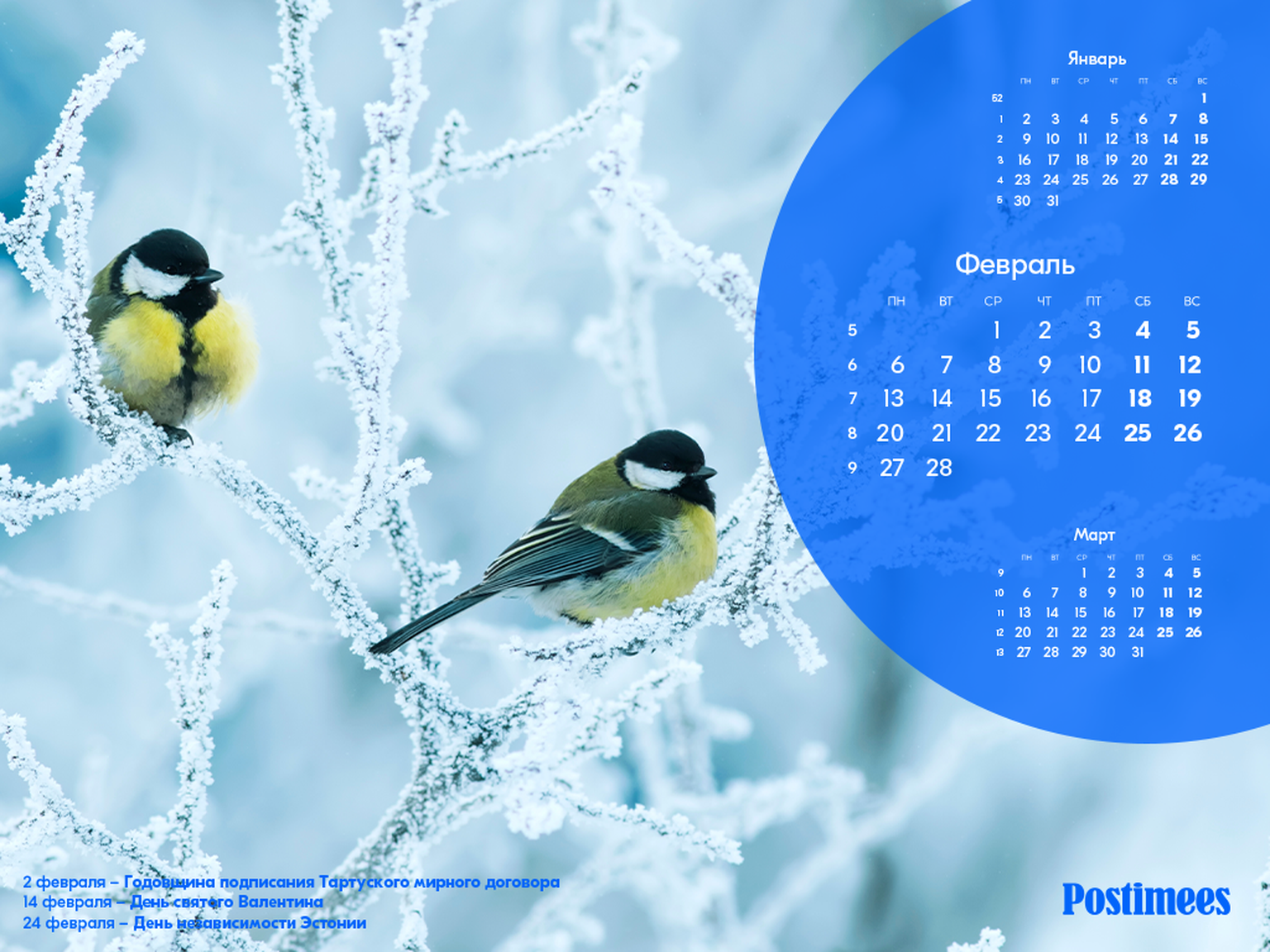Обои-календарь на февраль (1024*768).