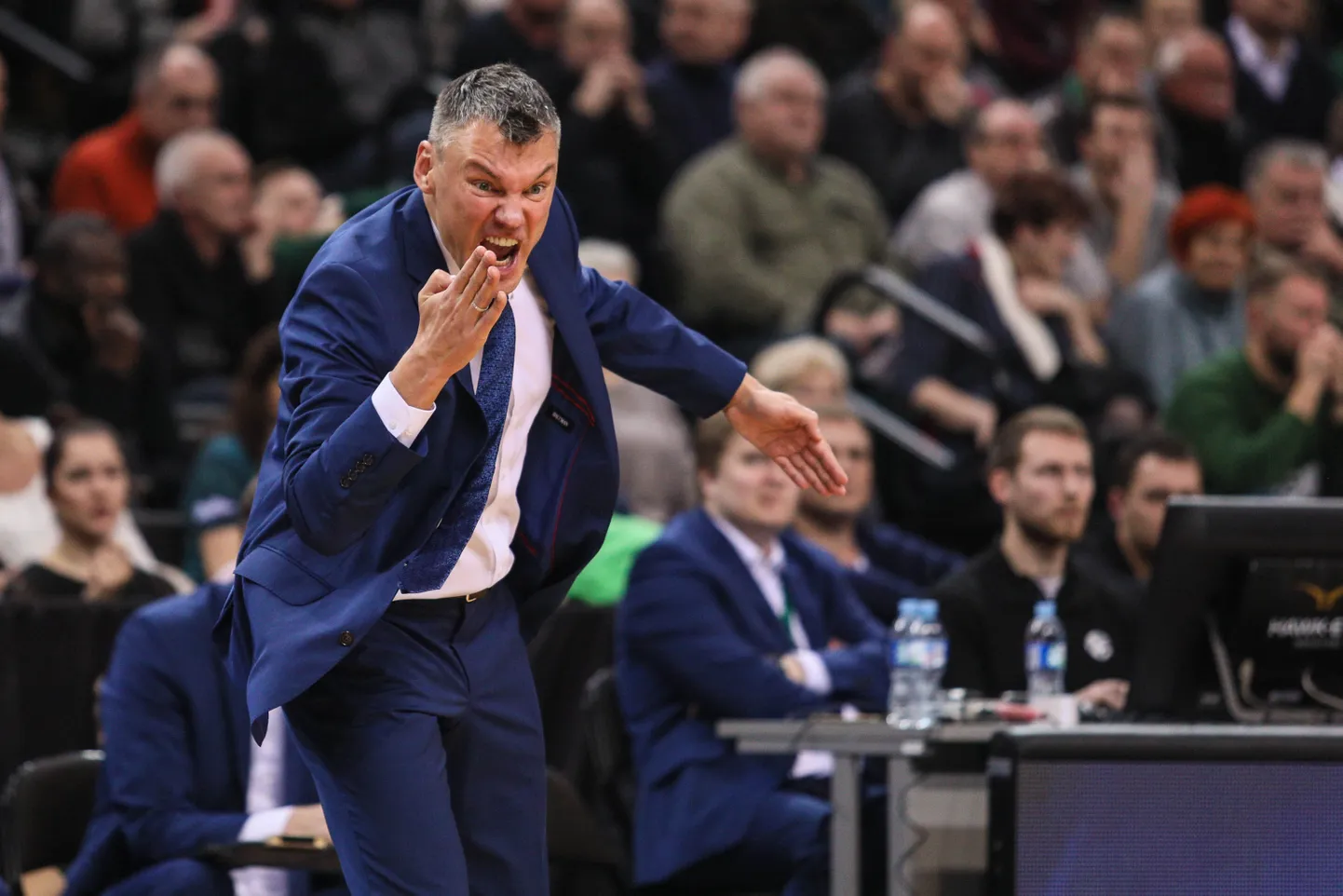 Kaunase Žalgirise peatreener Sarunas Jasikevicius.