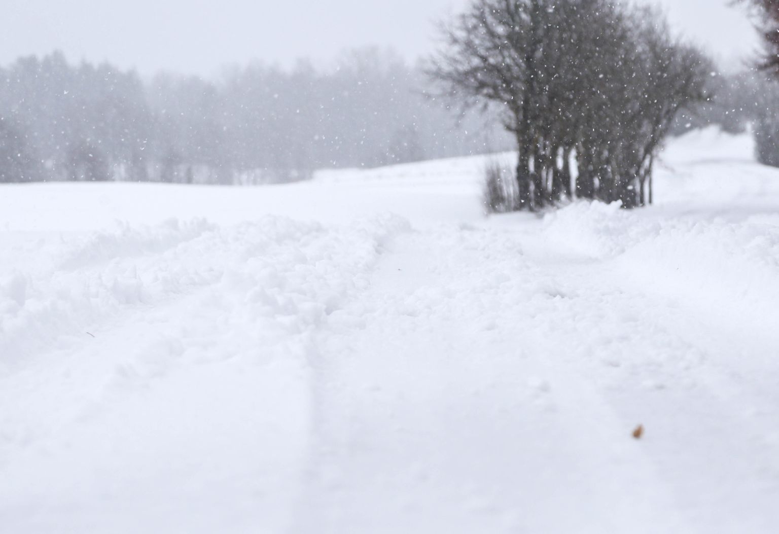 Talvised teeolud Laatre-Lüllemäe teel.