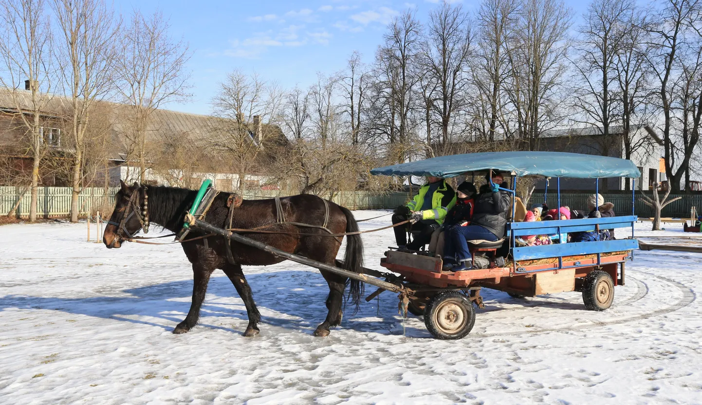 Ülenurme valla Tõrvandi lasteaia mudilased tegid täna vastlasõitu hobusega.