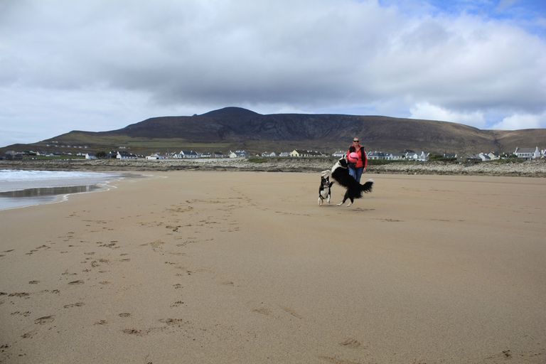 Koertega jalutaja Achilli saare rannal / Handout/Reuters/Scanpix