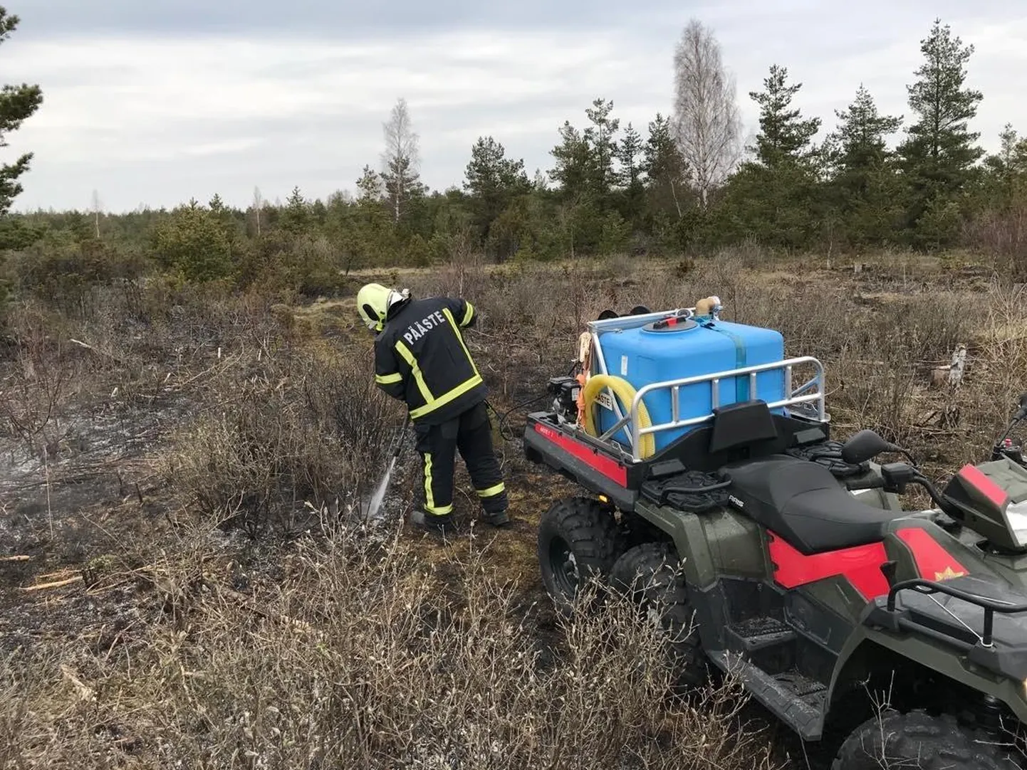Eisvere külas põles ligemale kaks hektarit kulu.