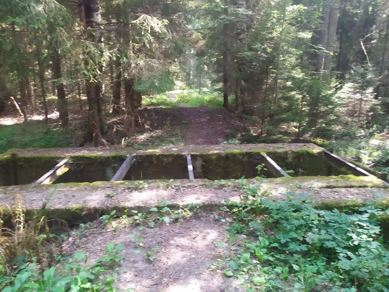 Artikli foto