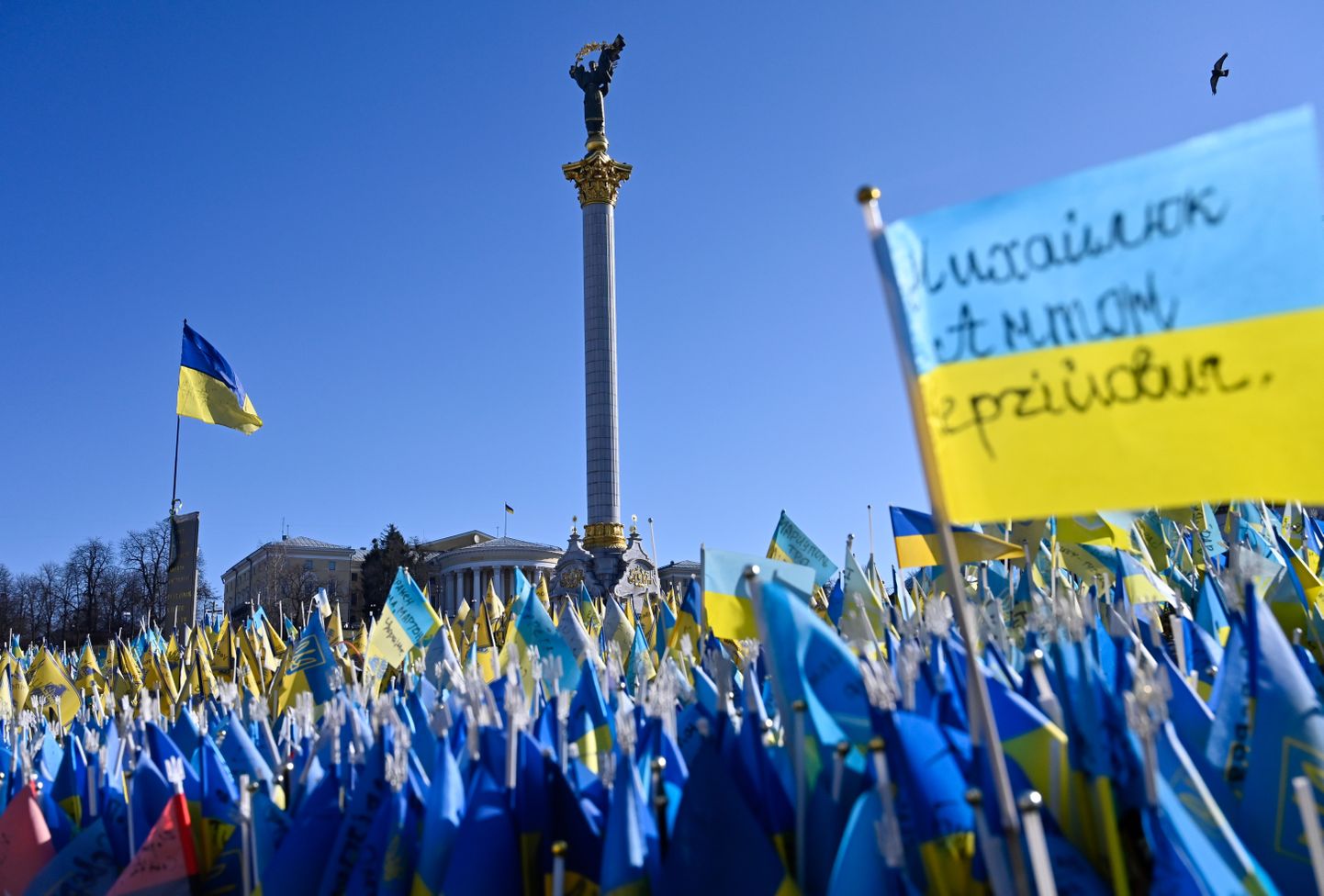 Ukraina lipud sõjas hukkunud Ukraina sõdurite nimedega Venemaa agressioonisõja alguse esimese aastapäeva eelõhtul Kiievi kesklinnas Iseseisvuse väljakul.