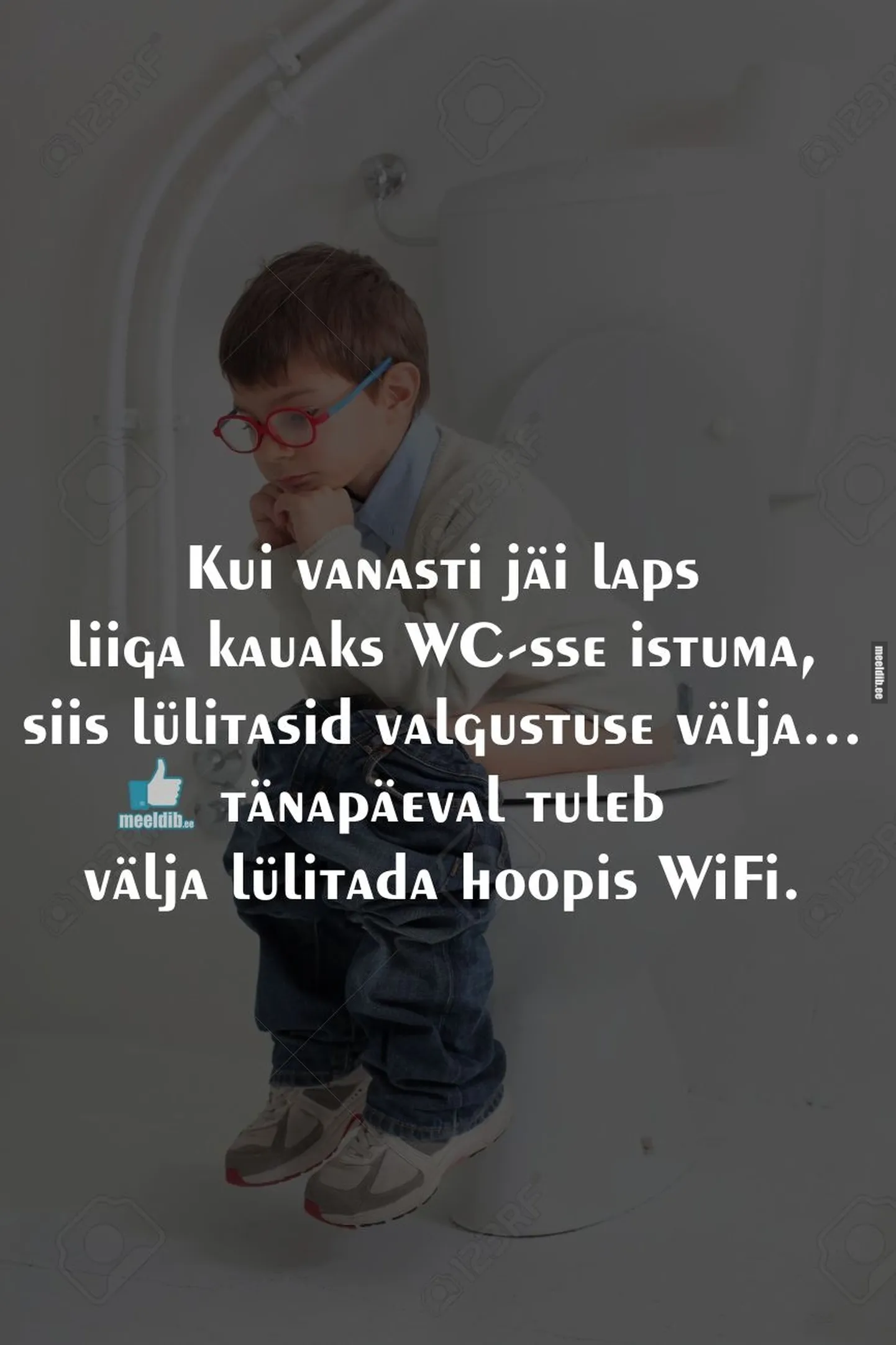 Artikli foto