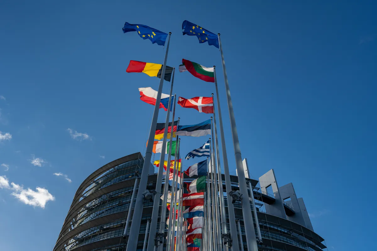 Lipud europarlamendi Louise Weissi nimelise hoone ees.