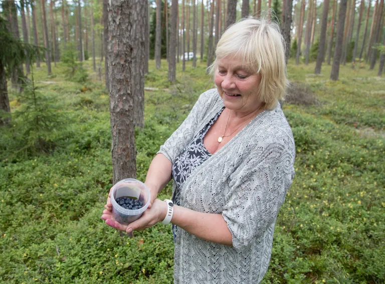 Marjuline Sirje korjas koogi jaoks topsi mustikaid.
