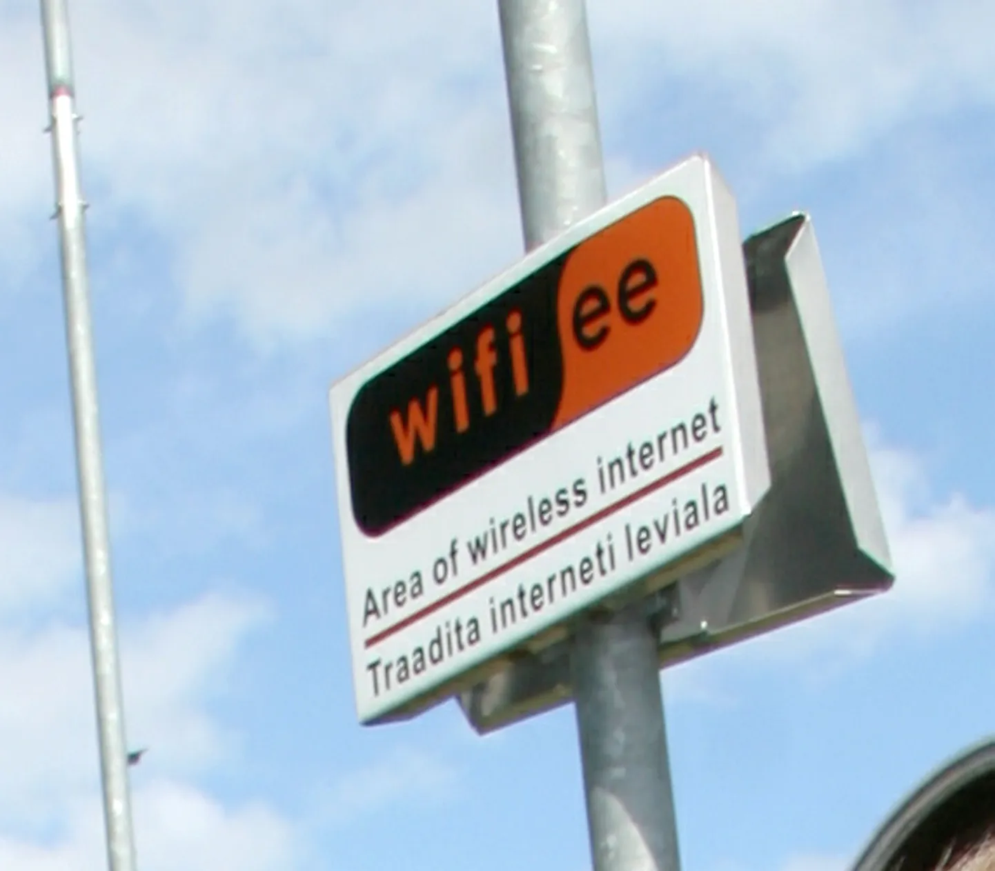 Mees on WiFile allergiline