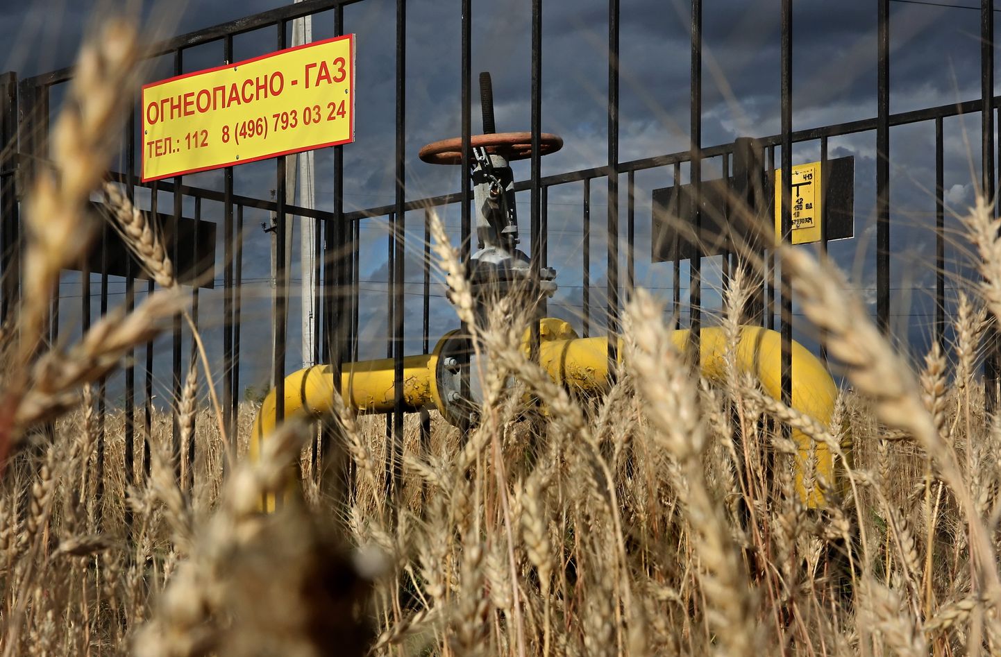 TULEOHTLIK - GAAS: Gazpromi ventiil Moskva lähistel Domodedovo nisupõllul 20. juulil 2023.