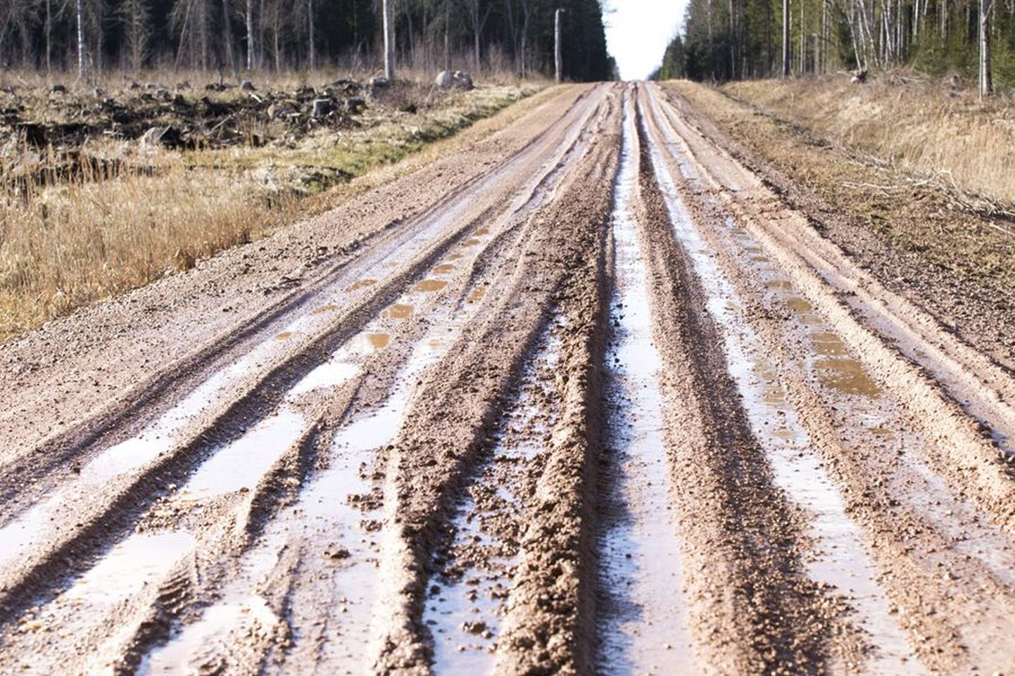 Selline nägi eile välja Viljandi ja Kolga-Jaani vallas kulgev Puujala tee, mida riigimetsa majandamise keskus remontis mullu sügisel.