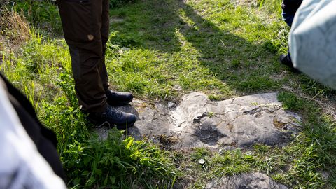 Lihulas avanevad iga nurga peal põnevad vaated
