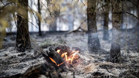 Ida-Virumaal põleb mitmesaja ruutmeetri ulatuses turvast