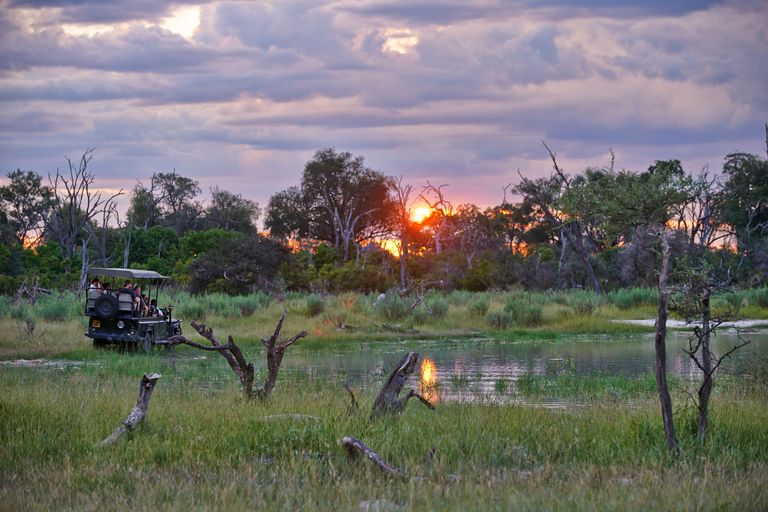 Safari Okavango jõe deltas