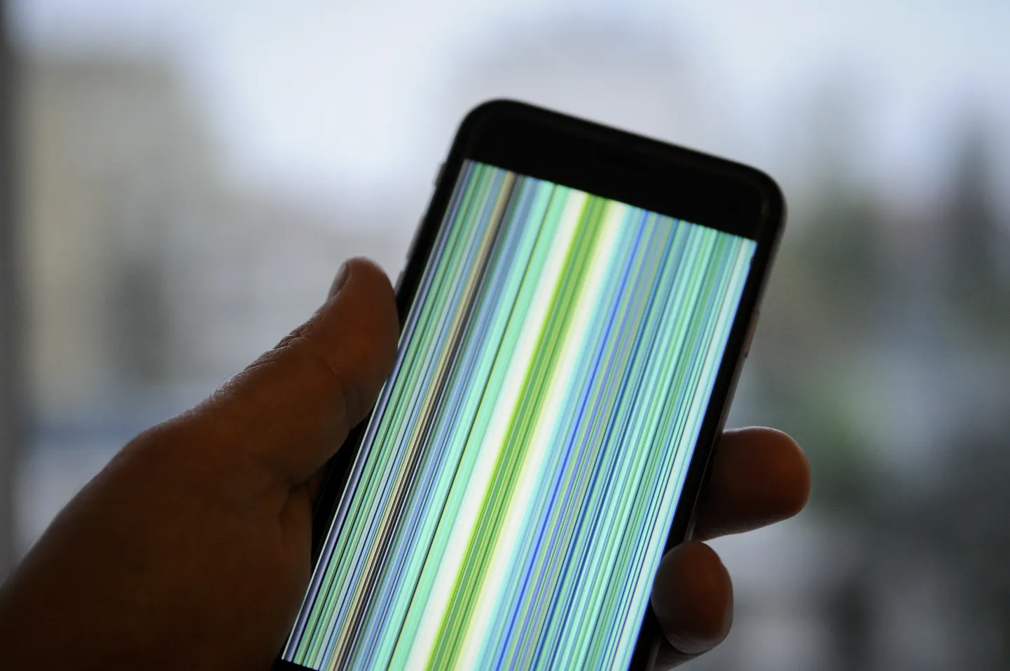 Simuleeritud kaktine iPhone'i ekraan.