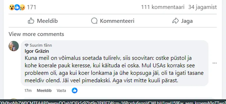 Комментарий Игоря Грязина в Facebook.