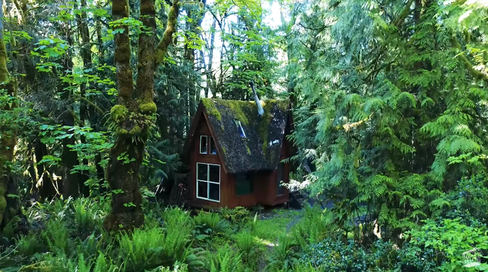Видео и фото: смотрите, что находится внутри у этой затерянной в лесах избушки