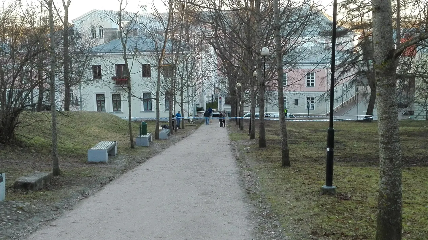 Sündmuskoht Toomemäe nõlval, kus kakluses tapeti mees.