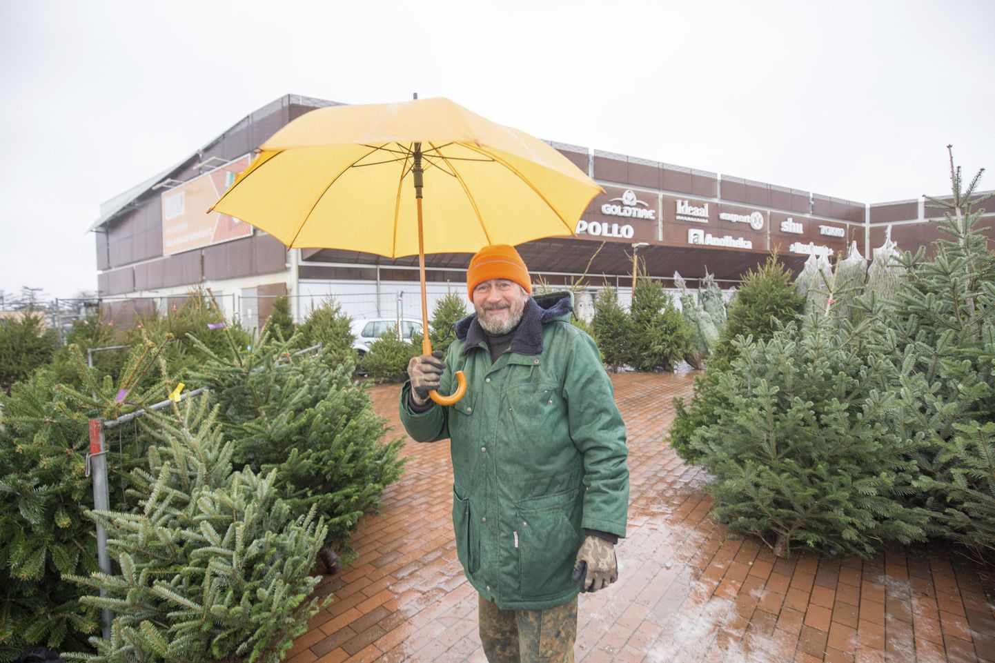 Uku keskuse ees vihmasajus jõulupuid müünud Endel Soosaar märkis, et viljandlaste seas on poupulaarseim harilik kuusk.
