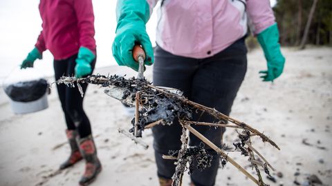 На уборку загрязняющего эстонские острова мазута ожидается не менее 160 участников