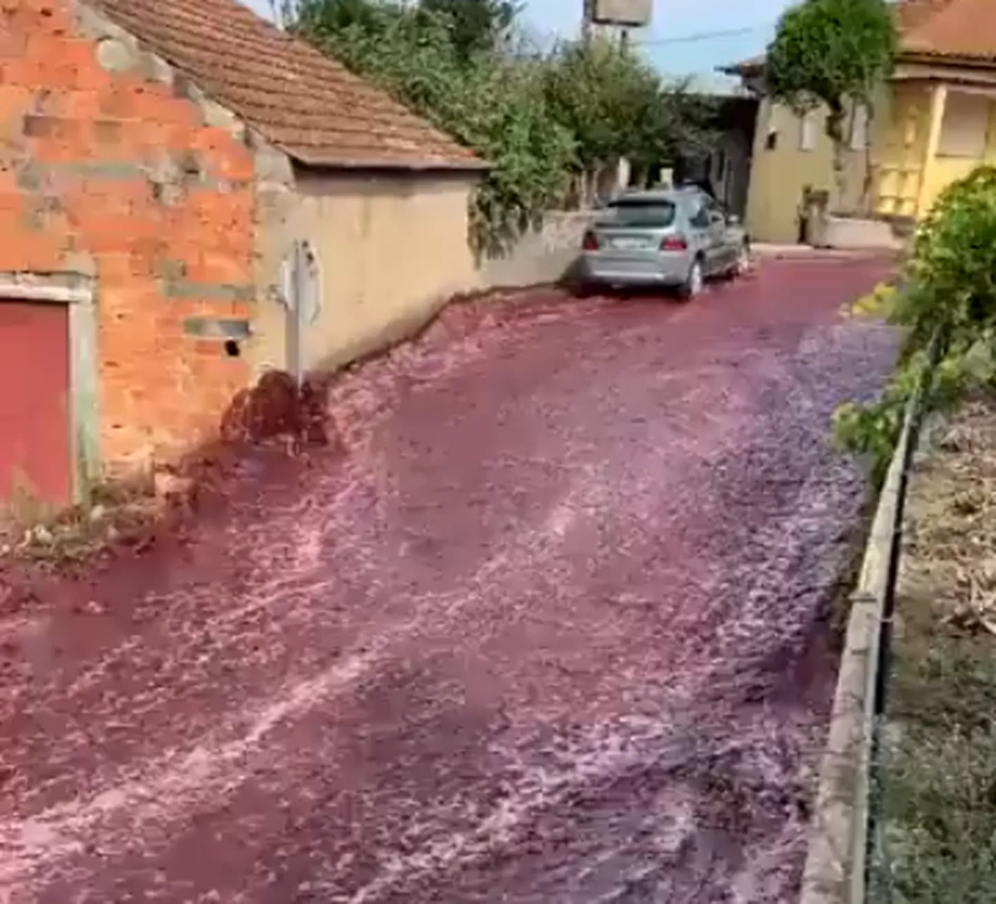 "Винное наводнение" в Португалии